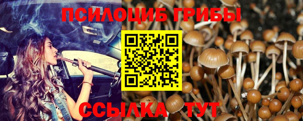Галлюциногенные грибы мухоморы Волоколамск