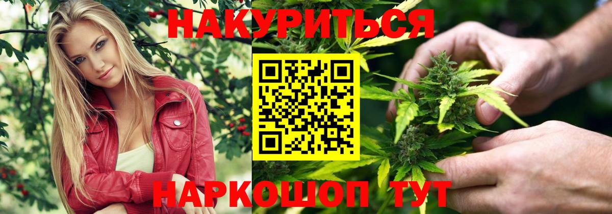 Канабис планчик Волоколамск